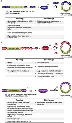 Methodologies for Backbone Macrocyclic Peptide Synthesis Compatible With Screening Technologies